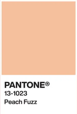 Pantone Peach Fuzz